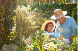garden maintenance Adelaide