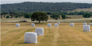 silage bale wrap online