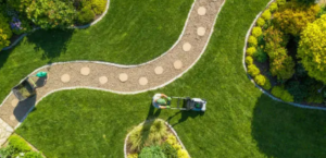 landscape design
