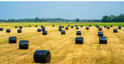 silage wrap