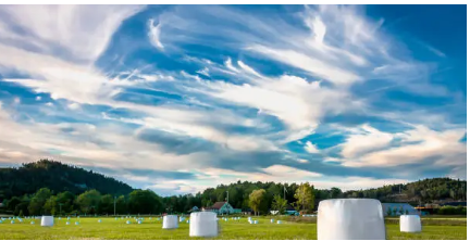 silage plastic