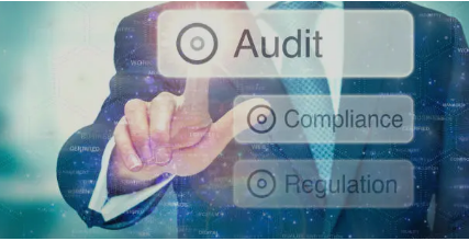 NDIS audit support